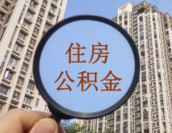 肇东退休后查不到公积金明细了吗（退休后公积金查询不到原因）